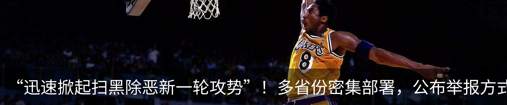 资讯动态